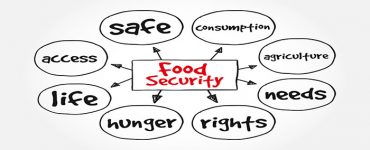 Food Security Diagram