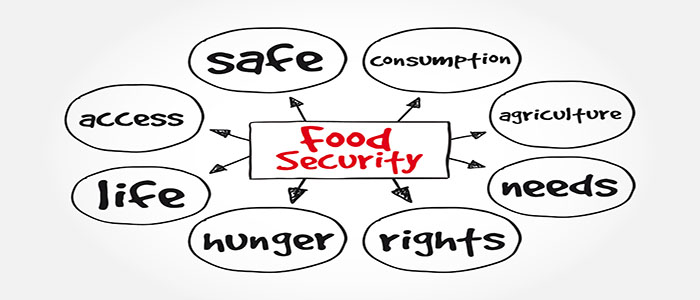 Food Security Diagram